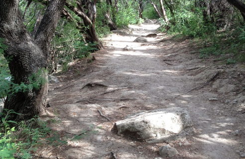 Grab The Fam And Head To One Of These Easy Austin Hikes